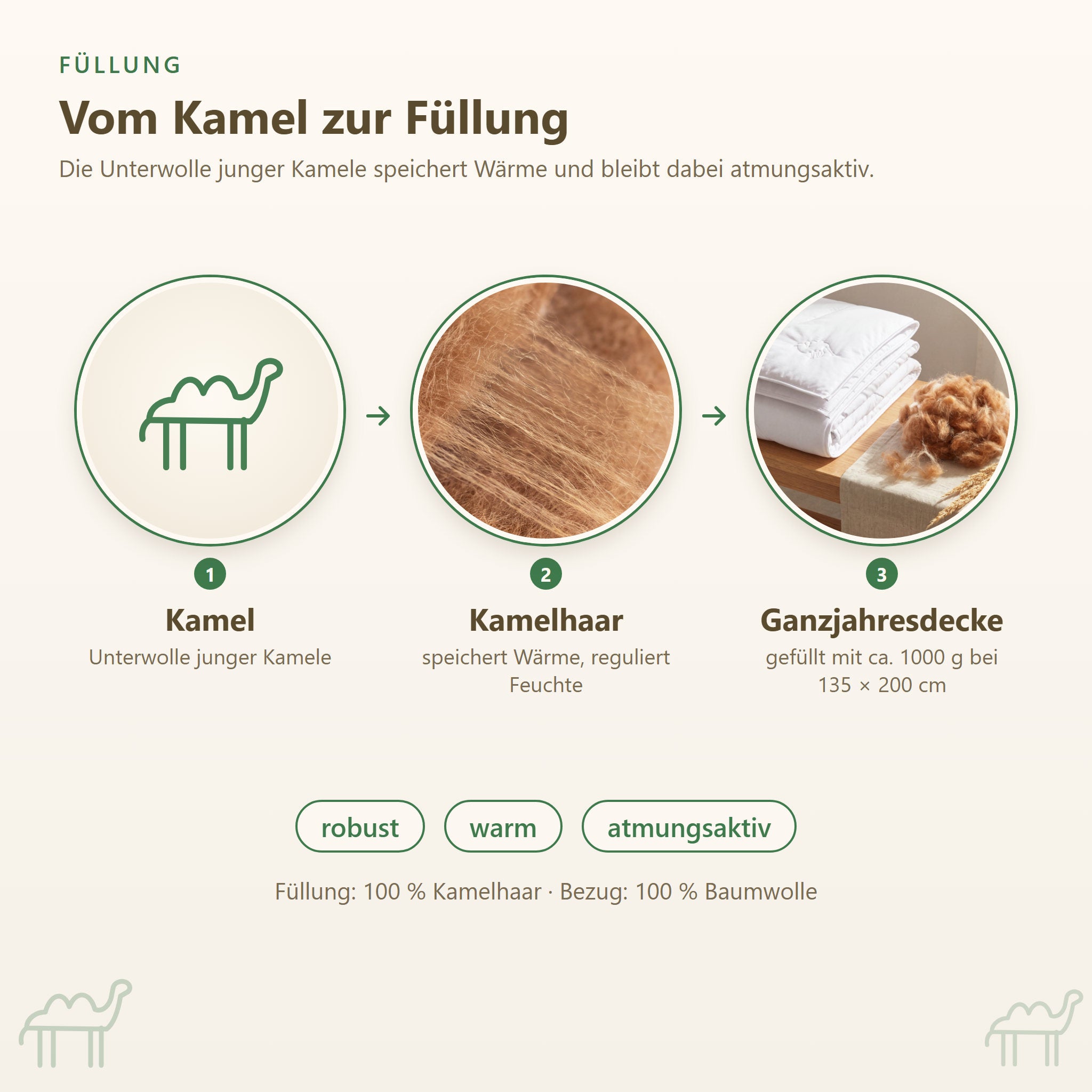 Vom Kamel zur fertigen Decke: Füllung der KAUFFMANN Kamelhaar Ganzjahresbettdecke, wärmende Kamelhaardecke