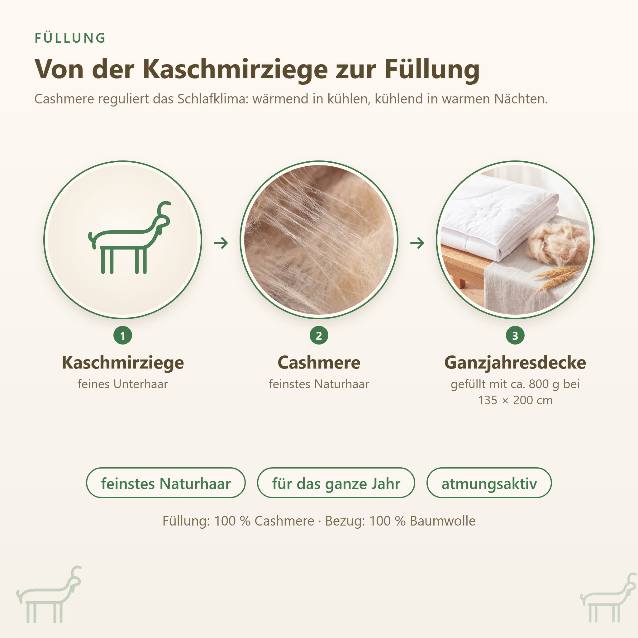 Von der Kaschmirziege zur fertigen Decke: Füllung der KAUFFMANN Cashmere Ganzjahresbettdecke, Kaschmirdecke