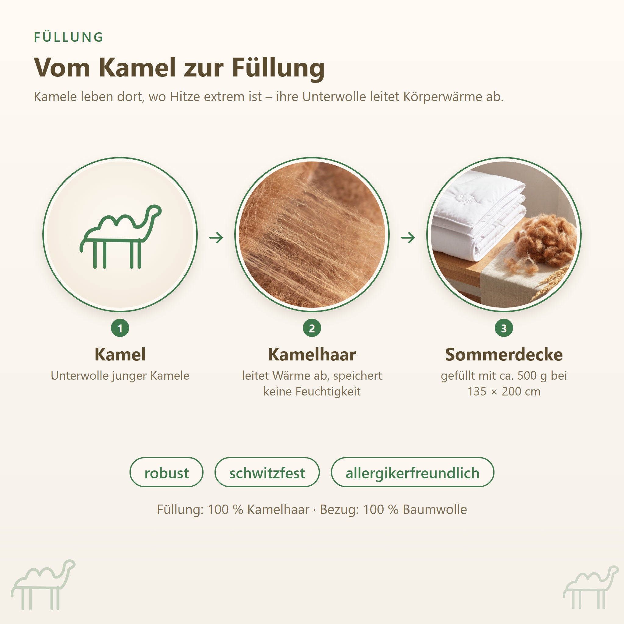 Vom Kamel zur fertigen Decke: Füllung der KAUFFMANN Kamelhaar Sommerbettdecke, leichte Kamelhaardecke