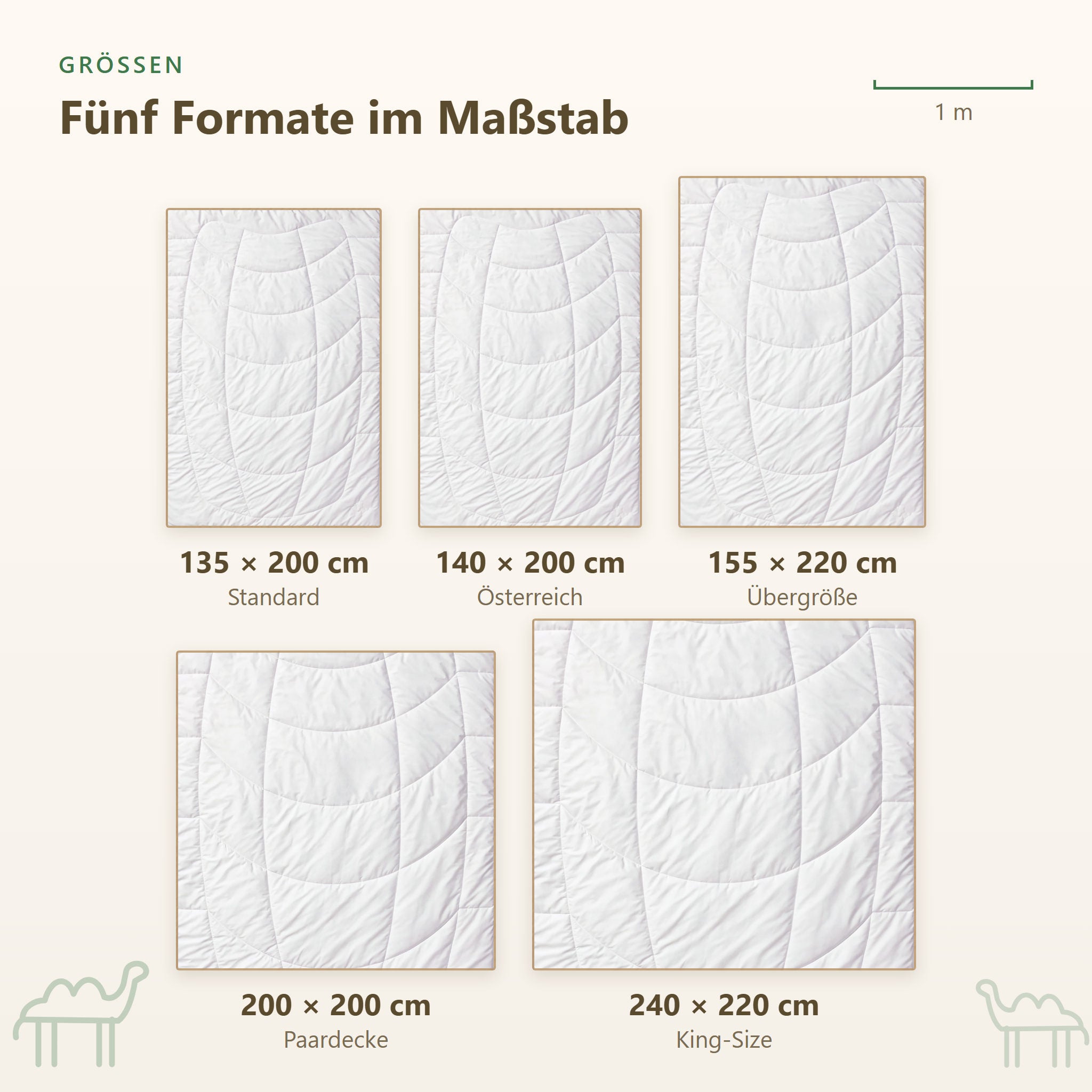 Größenübersicht der KAUFFMANN Kamelhaar Sommerbettdecke von 135x200 bis 240x220 cm, Kamelhaar Bettdecke